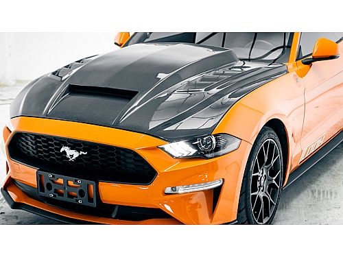 Капот карбоновый для Ford Mustang S550 (2018-2023), стиль Terminator, ICOOH, DL-FD0927-06 Капот карбоновый для Ford Mustang S550 (2018-2023), стиль Terminator, ICOOH, DL-FD0927-06