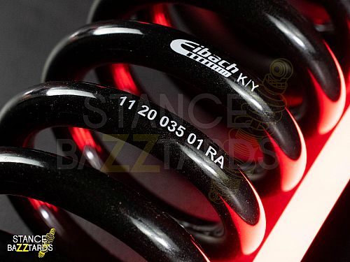 Пружины Eibach Pro-Kit BMW Z4 (G29) Roadster sDrive 30 i, sDrive 20 i (2.0 л.) (163 л.с. - 258 л.с.) (Бензин) (2018-), занижение 25/25 мм, E10-20-046-01-22