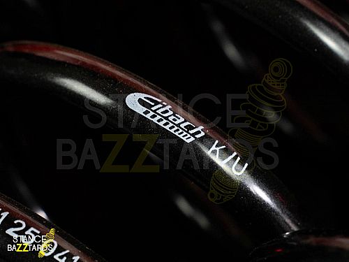 E10-25-041-01-22 - Пружины Eibach Pro-Kit Mercedes-Benz GLC (X253) 4-matic Coupe 4Matic AMG, с 2015 E10-25-041-01-22 - Пружины Eibach Pro-Kit Mercedes-Benz GLC (X253) 4-matic Coupe 4Matic AMG, с 2015 — фото 8