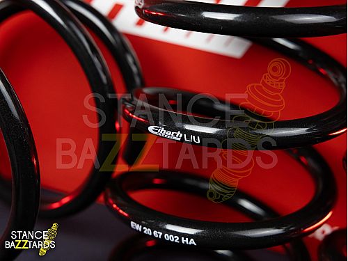 Пружины Eibach Pro-Kit BMW 3 (E46), вкл купе 330 d, 330 Cd (3.0 л.) (184 л.с. - 204 л.с.), E10-20-001-01-22 Пружины Eibach Pro-Kit BMW 3 (E46), вкл купе 330 d, 330 Cd (3.0 л.) (184 л.с. - 204 л.с.), E10-20-001-01-22 — фото 4