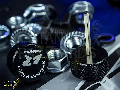 Комплект винтовой подвески (койловеров) LinesRacing Ford Mustang 5 поколение (MK5) (2005-2014) с регулировками высоты (фултап), жесткости (36 регулировок), развала, SD-160 Комплект винтовой подвески (койловеров) LinesRacing Ford Mustang 5 поколение (MK5) (2005-2014) с регулировками высоты (фултап), жесткости (36 регулировок), развала, SD-160