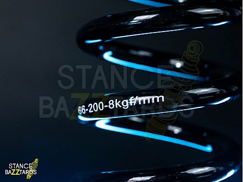 Комплект винтовой подвески (койловеров) LinesRacing Audi S3 (8V) Quattro (MQB) (2015-2019) с регулировками высоты (фултап), жесткости (36 регулировок), развала,  SD-154