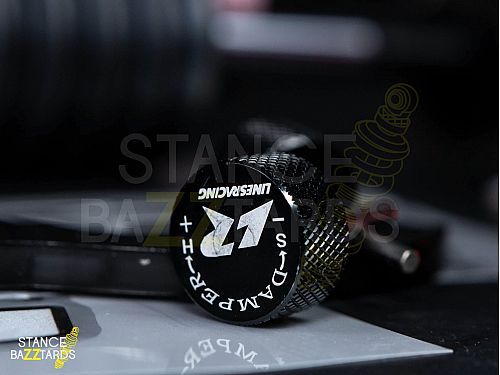Комплект винтовой подвески (койловеров) LinesRacing BMW E90, E91, E92, E93 (2008-) с регулировками высоты (фултап), жесткости (36 регулировок), развала, SD-090 Комплект винтовой подвески (койловеров) LinesRacing BMW E90, E91, E92, E93 (2008-) с регулировками высоты (фултап), жесткости (36 регулировок), развала, SD-090