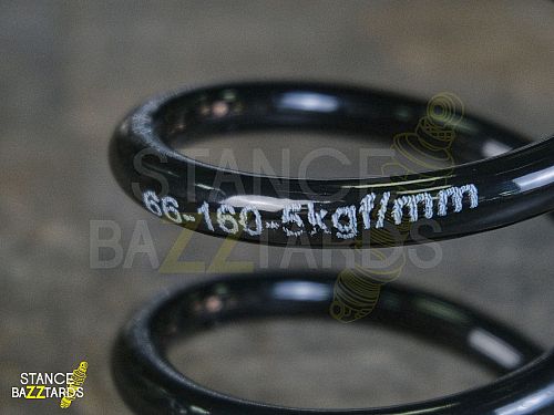 Пружина винтовой подвески (1шт) LR, LRsprings_160_5
