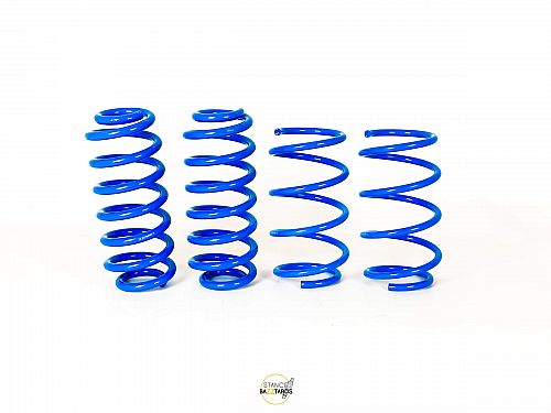 Пружины укороченные SB Honda Civic 6 поколение (MK6) (EG, EJ, EK, EH) 1996-2000 с занижением 25/25 мм, LSREDHND018