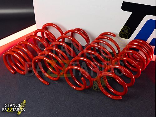 Пружины TA-Technix Ford Sierra (GBC/GBG) Cедан 1984-1993 с занижением 60/40 мм, EVOFO065F/1