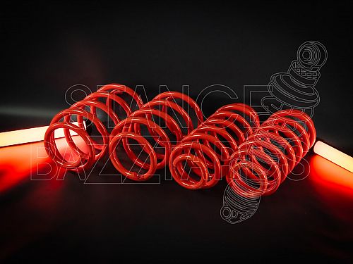 Пружины TA-Technix VW Passat B7 (3C) 2010-2015 с занижением 50/25 мм, EVOVW279F/1