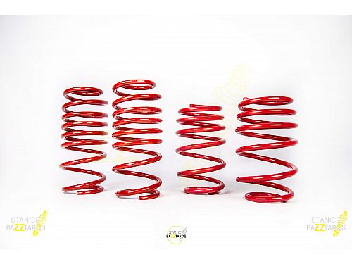 Комплект винтовой подвески (койловеров) TA-Technix EVOGWTO11 Toyota Yaris, P9, P13, 2006-, с регулировками высоты Комплект винтовой подвески (койловеров) TA-Technix EVOGWTO11 Toyota Yaris, P9, P13, 2006-, с регулировками высоты