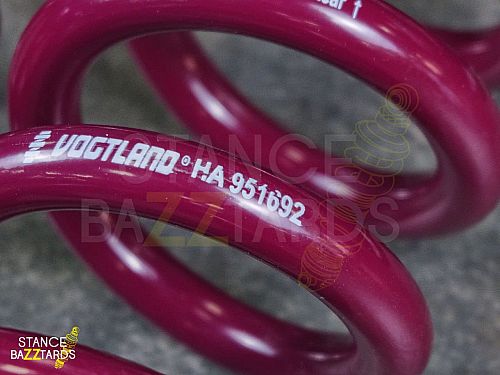 Пружины Vogtland (Вогтланд) с занижением 40/40 мм BMW 3 Серия G21 G3K Touring 2WD 4WD 320i xDrive 320d xDrive 330d 330i xDrive 330d xDrive M340i xDrive (для авто с электро подвеской M Sport) (2019-), 951693 Пружины Vogtland (Вогтланд) с занижением 40/40 мм BMW 3 Серия G21 G3K Touring 2WD 4WD 320i xDrive 320d xDrive 330d 330i xDrive 330d xDrive M340i xDrive (для авто с электро подвеской M Sport) (2019-), 951693