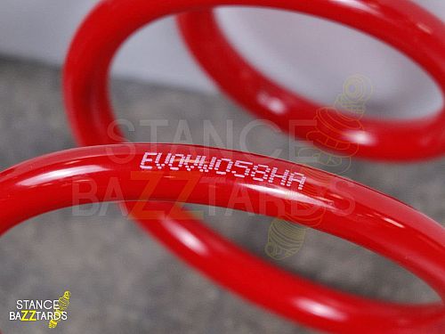 Комплект пружин TA-Technix с занижением 40/40 мм Audi A3 в укзове 8L (кроме Quattro), EVOVW058F